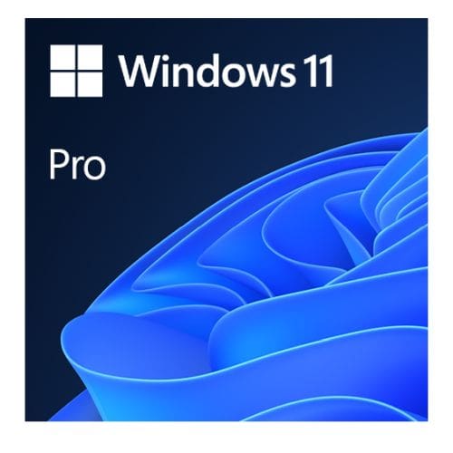 Windows 11 Professional Image
